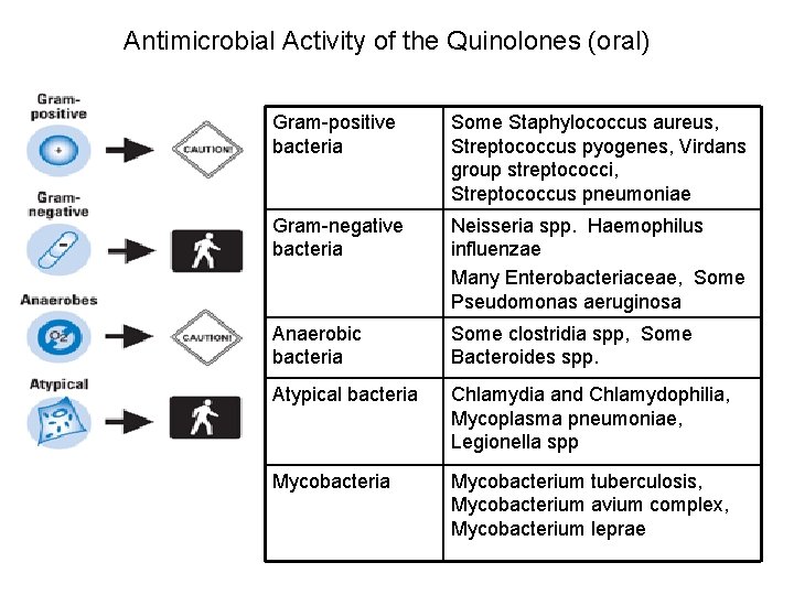 Antimicrobial Activity of the Quinolones (oral) Gram-positive bacteria Some Staphylococcus aureus, Streptococcus pyogenes, Virdans