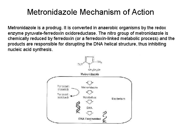 Metronidazole Mechanism of Action Metronidazole is a prodrug. It is converted in anaerobic organisms Metronidazole Mechanism of Action Metronidazole is a prodrug. It is converted in anaerobic organisms
