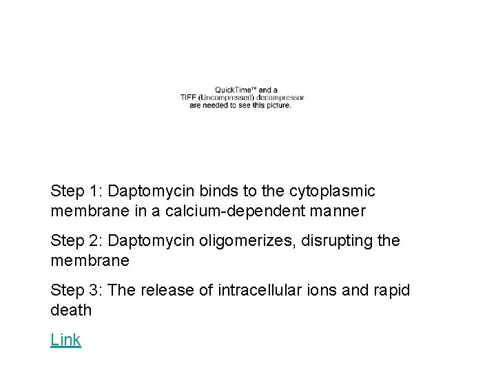 Step 1: Daptomycin binds to the cytoplasmic membrane in a calcium-dependent manner Step 2: Step 1: Daptomycin binds to the cytoplasmic membrane in a calcium-dependent manner Step 2:
