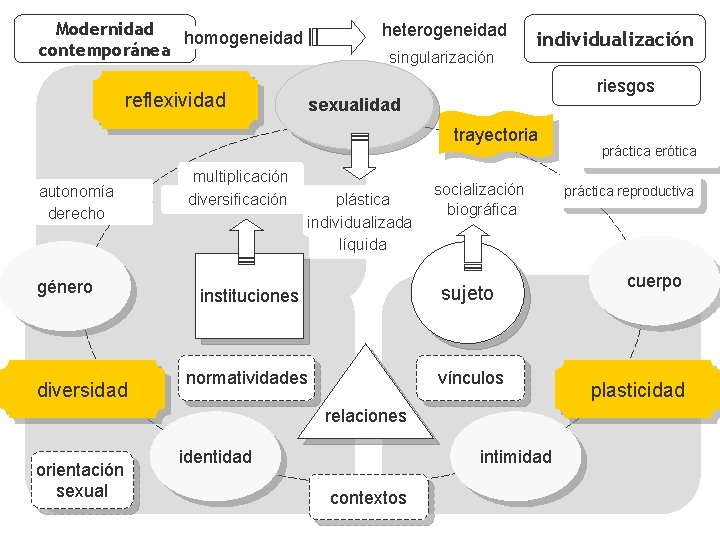 Modernidad homogeneidad contemporánea heterogeneidad singularización reflexividad individualización riesgos sexualidad trayectoria autonomía derecho género diversidad