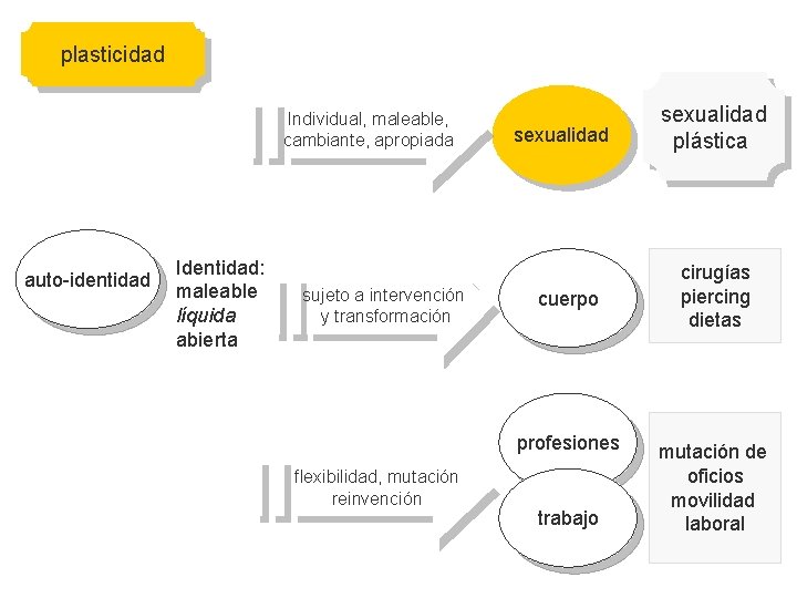 plasticidad Individual, maleable, cambiante, apropiada auto-identidad Identidad: maleable líquida abierta sujeto a intervención y