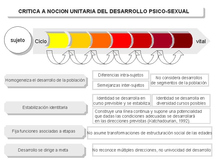 CRITICA A NOCION UNITARIA DEL DESARROLLO PSICO-SEXUAL sujeto Ciclo vital Diferencias intra-sujetos Homogeneiza el