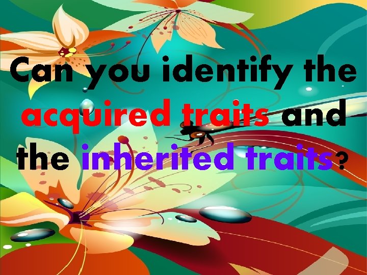 Can you identify the acquired traits and the inherited traits? 