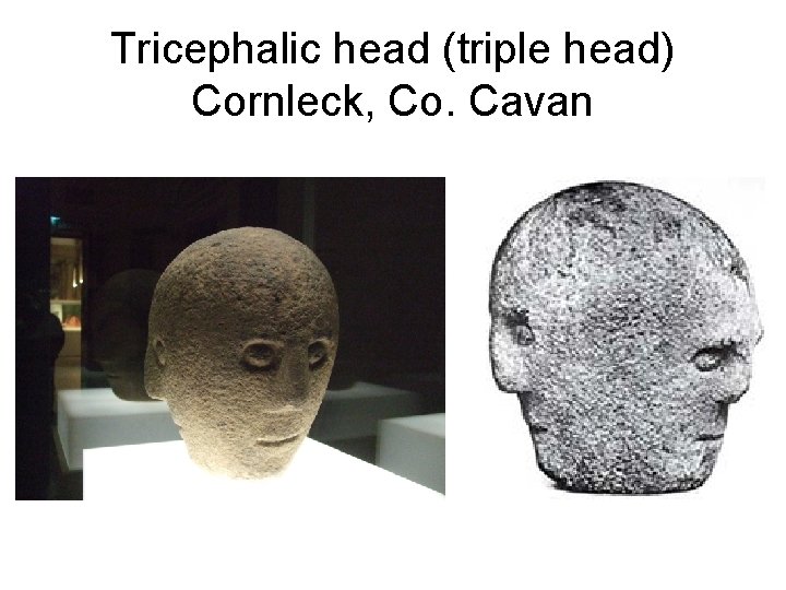 Tricephalic head (triple head) Cornleck, Co. Cavan 