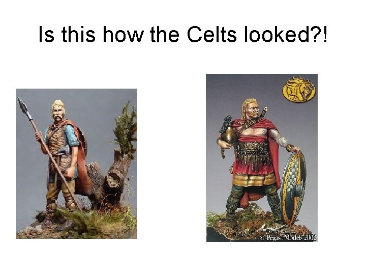 Is this how the Celts looked? ! 