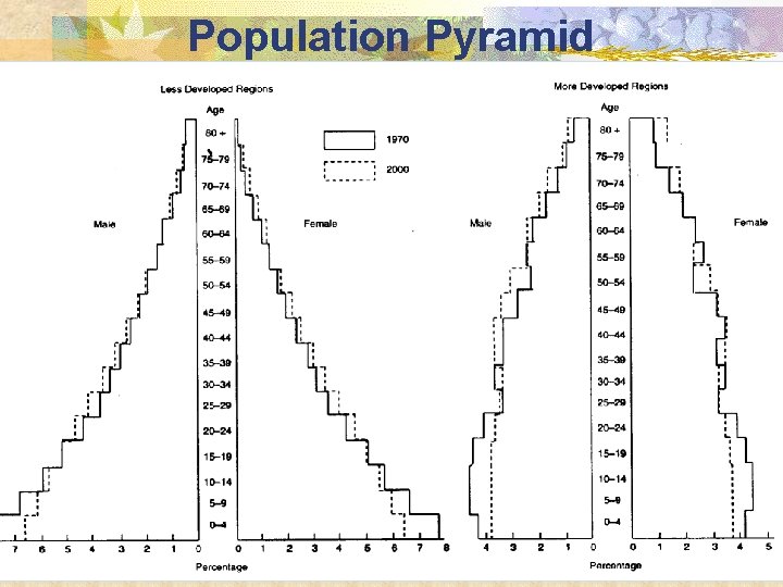 Population Pyramid Epidemiology (Schneider) Population Pyramid Epidemiology (Schneider)