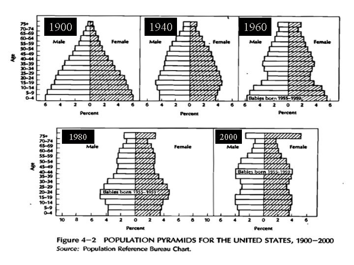 1900 1980 Epidemiology (Schneider) 1940 1960 2000 1900 1980 Epidemiology (Schneider) 1940 1960 2000