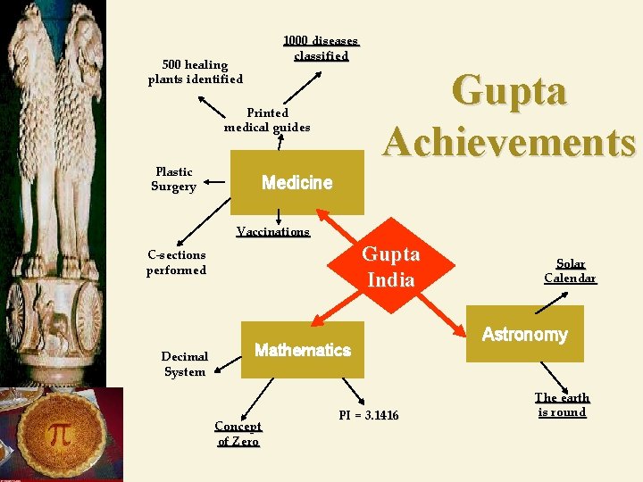 1000 diseases classified 500 healing plants identified Gupta Achievements Printed medical guides Plastic Surgery