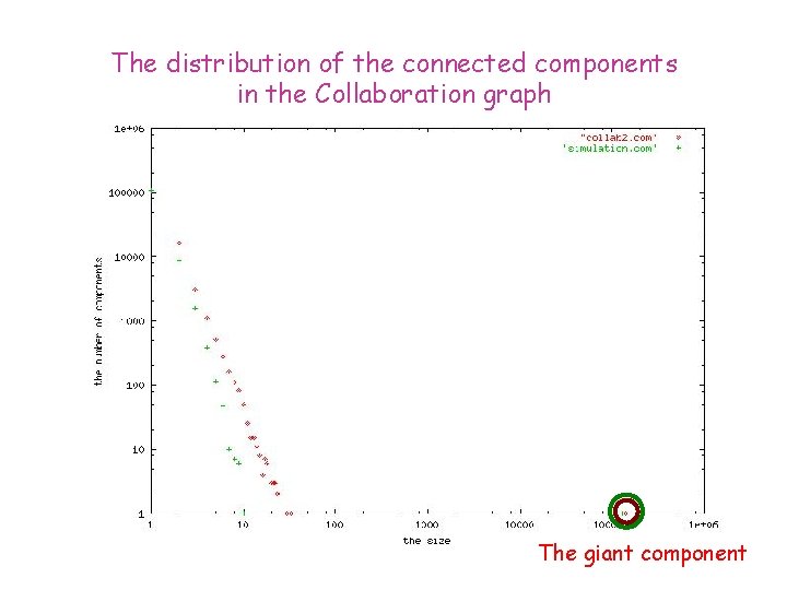 The distribution of the connected components in the Collaboration graph The giant component 