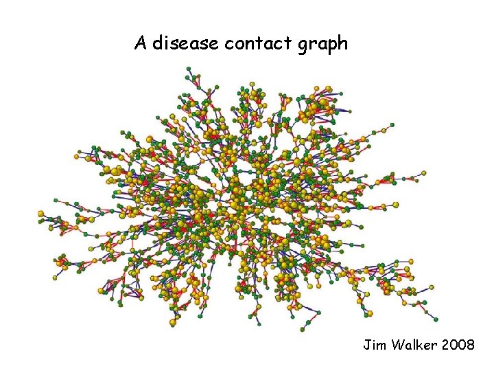 A disease contact graph Jim Walker 2008 