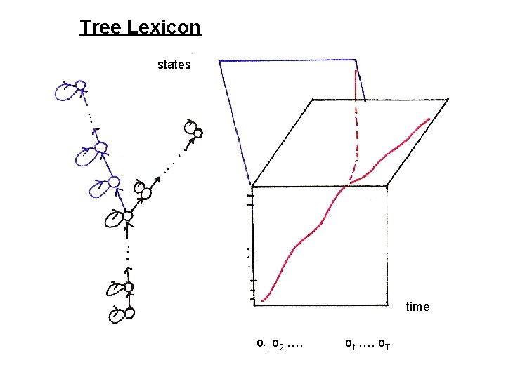 Tree Lexicon states time o 1 o 2 …. ot …. o. T Tree Lexicon states time o 1 o 2 …. ot …. o. T