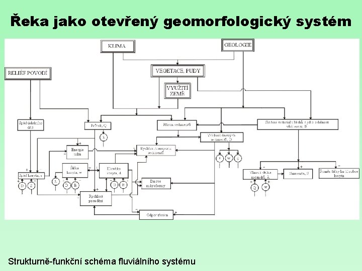 Řeka jako otevřený geomorfologický systém Strukturně-funkční schéma fluviálního systému 