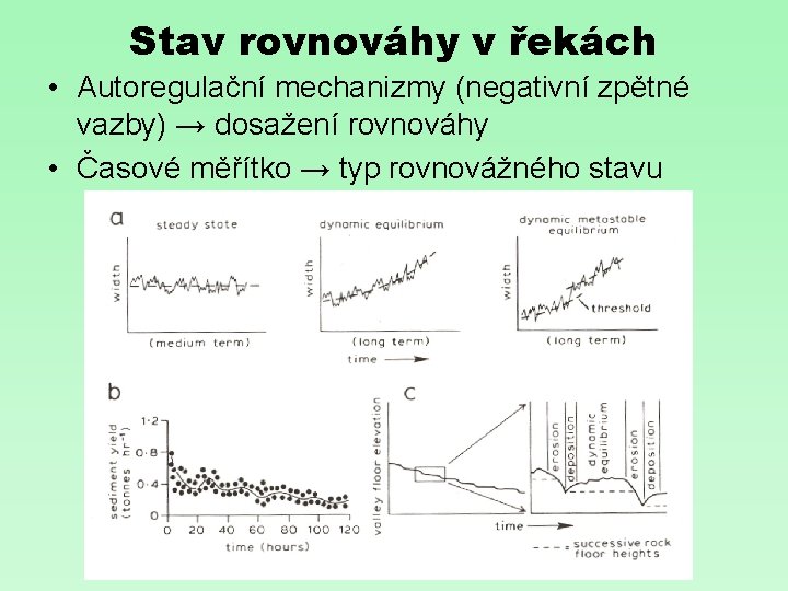 Stav rovnováhy v řekách • Autoregulační mechanizmy (negativní zpětné vazby) → dosažení rovnováhy •