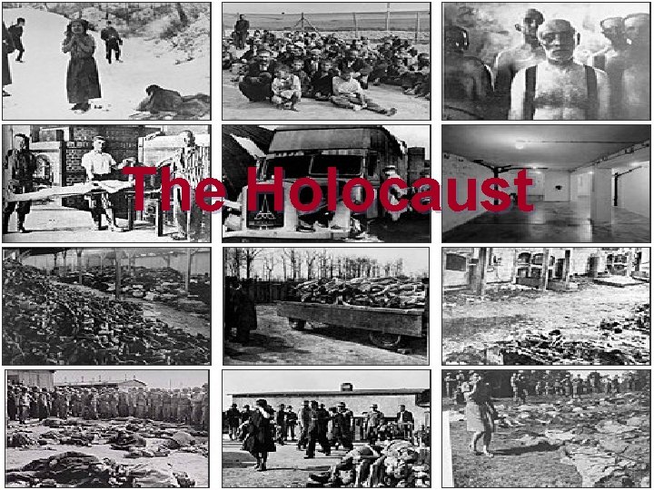The Holocaust 