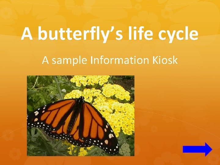 A butterfly’s life cycle A sample Information Kiosk 