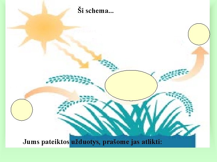 Ši schema. . . Jums pateiktos užduotys, prašome jas atlikti: 