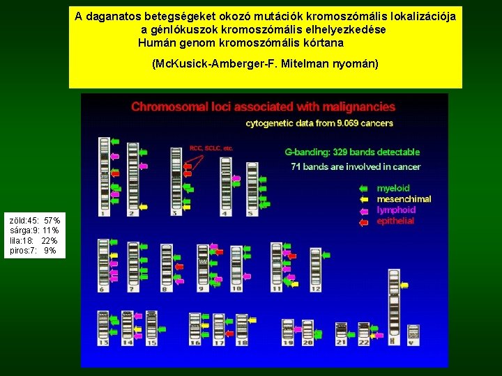 A daganatos betegségeket okozó mutációk kromoszómális lokalizációja a génlókuszok kromoszómális elhelyezkedése Humán genom kromoszómális