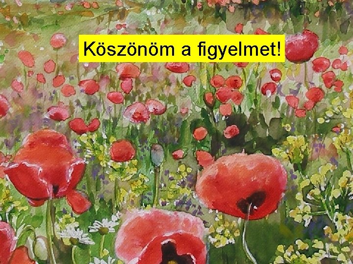 Köszönöm a figyelmet! 