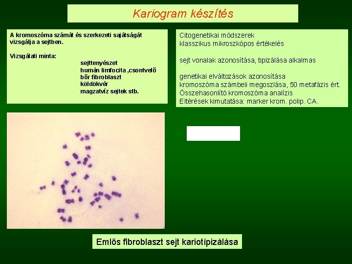 Kariogram készítés A kromoszóma számát és szerkezeti sajátságát vizsgálja a sejtben. Vizsgálati minta: sejttenyészet