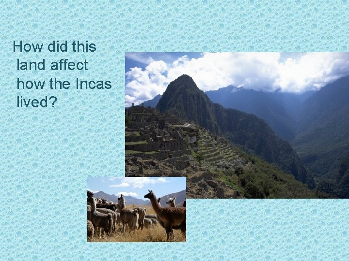 How did this land affect how the Incas lived? How did this land affect how the Incas lived?