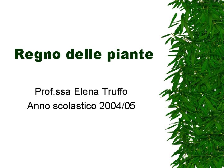 Regno delle piante Prof. ssa Elena Truffo Anno scolastico 2004/05 