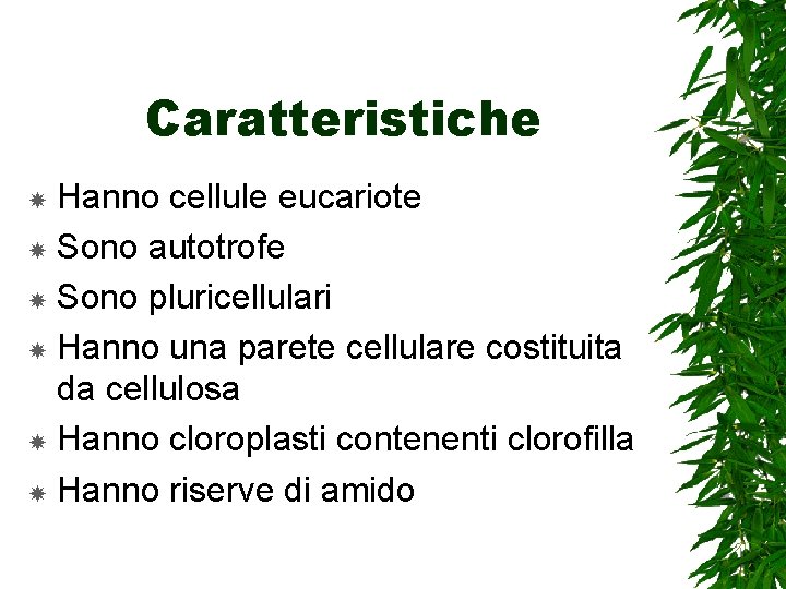 Caratteristiche Hanno cellule eucariote Sono autotrofe Sono pluricellulari Hanno una parete cellulare costituita da
