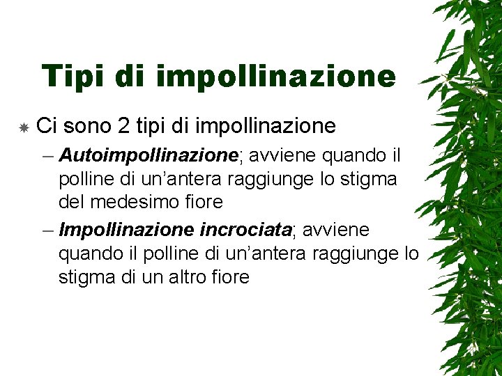 Tipi di impollinazione Ci sono 2 tipi di impollinazione – Autoimpollinazione; avviene quando il