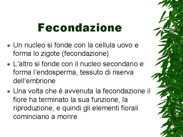 Fecondazione Un nucleo si fonde con la cellula uovo e forma lo zigote (fecondazione)