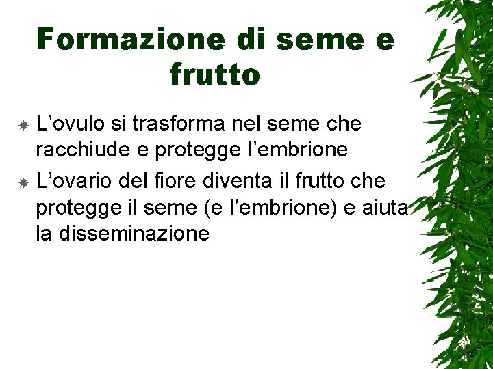 Formazione di seme e frutto L’ovulo si trasforma nel seme che racchiude e protegge