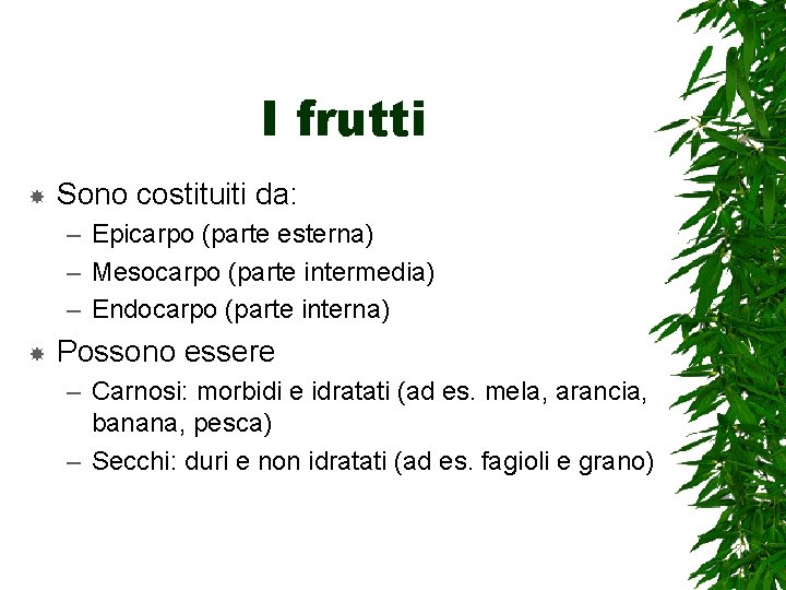I frutti Sono costituiti da: – Epicarpo (parte esterna) – Mesocarpo (parte intermedia) –