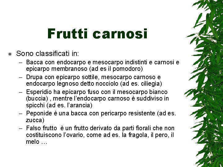 Frutti carnosi Sono classificati in: – Bacca con endocarpo e mesocarpo indistinti e carnosi
