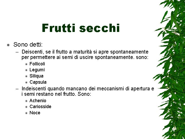 Frutti secchi Sono detti: – Deiscenti, se il frutto a maturità si apre spontaneamente