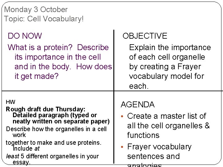 Monday 3 October Topic: Cell Vocabulary! DO NOW What is a protein? Describe its