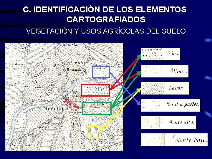 C. IDENTIFICACIÓN DE LOS ELEMENTOS CARTOGRAFIADOS VEGETACIÓN Y USOS AGRÍCOLAS DEL SUELO C. IDENTIFICACIÓN DE LOS ELEMENTOS CARTOGRAFIADOS VEGETACIÓN Y USOS AGRÍCOLAS DEL SUELO