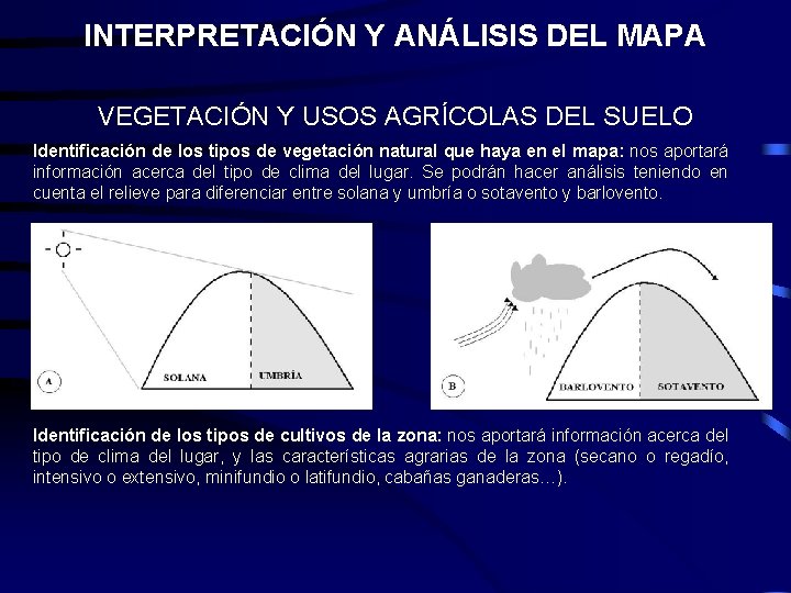 INTERPRETACIÓN Y ANÁLISIS DEL MAPA VEGETACIÓN Y USOS AGRÍCOLAS DEL SUELO Identificación de los INTERPRETACIÓN Y ANÁLISIS DEL MAPA VEGETACIÓN Y USOS AGRÍCOLAS DEL SUELO Identificación de los