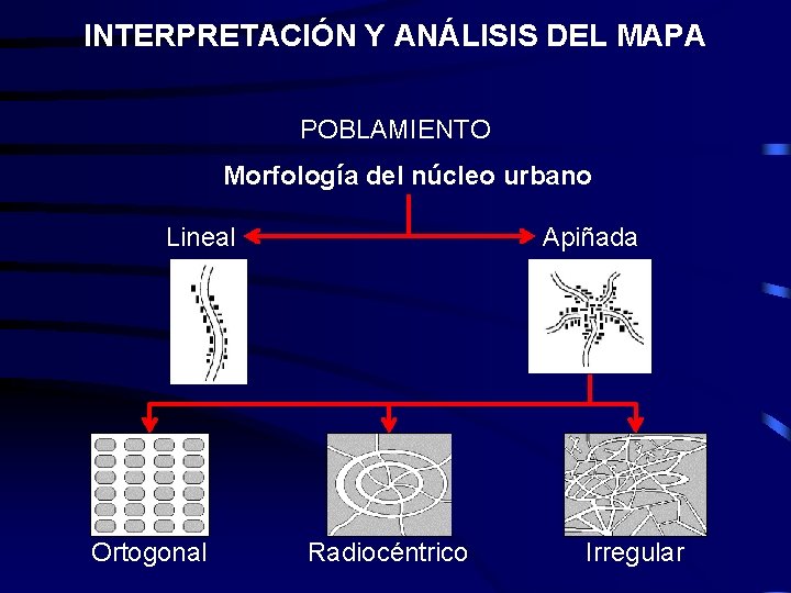 INTERPRETACIÓN Y ANÁLISIS DEL MAPA POBLAMIENTO Morfología del núcleo urbano Lineal Ortogonal Apiñada Radiocéntrico INTERPRETACIÓN Y ANÁLISIS DEL MAPA POBLAMIENTO Morfología del núcleo urbano Lineal Ortogonal Apiñada Radiocéntrico