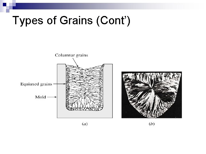 Types of Grains (Cont’) 