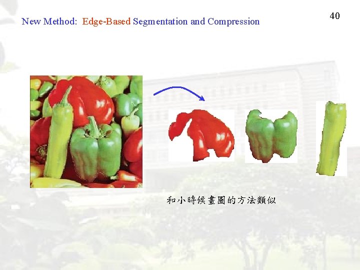 New Method: Edge-Based Segmentation and Compression 和小時候畫圖的方法類似 40 