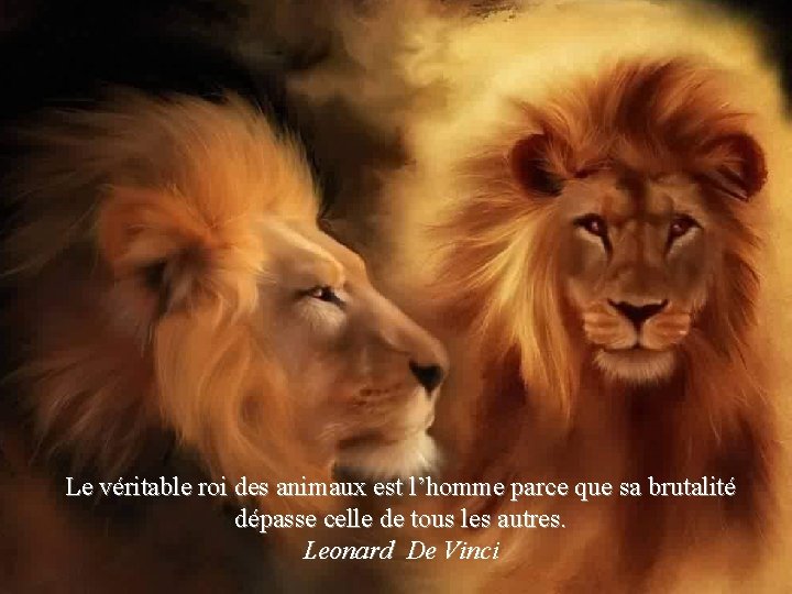 Le véritable roi des animaux est l’homme parce que sa brutalité dépasse celle de