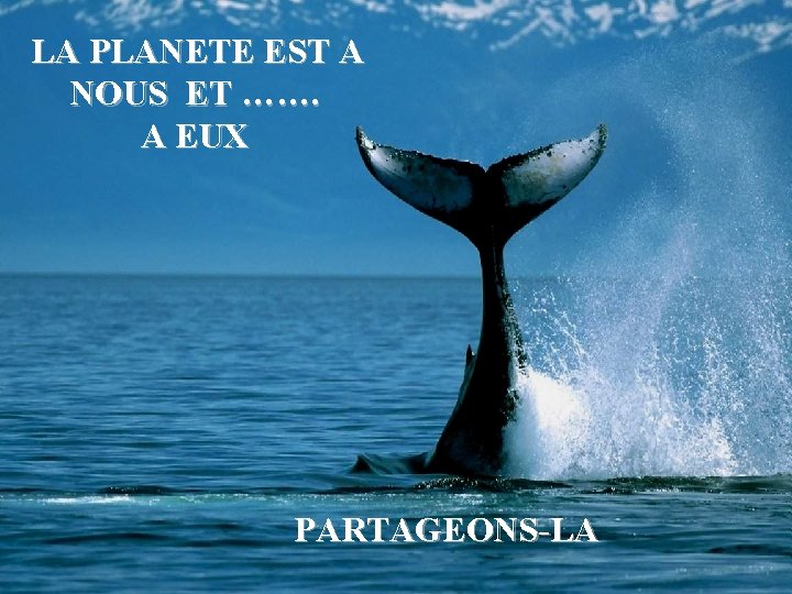 LA PLANETE EST A NOUS ET ……. A EUX PARTAGEONS-LA 