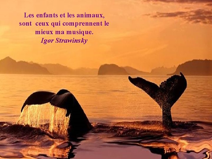 Les enfants et les animaux, sont ceux qui comprennent le mieux ma musique. Igor