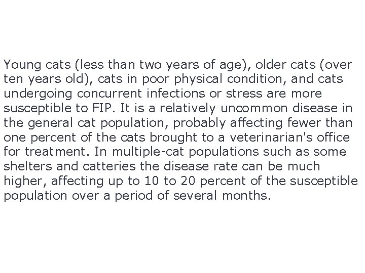 Young cats (less than two years of age), older cats (over ten years old),