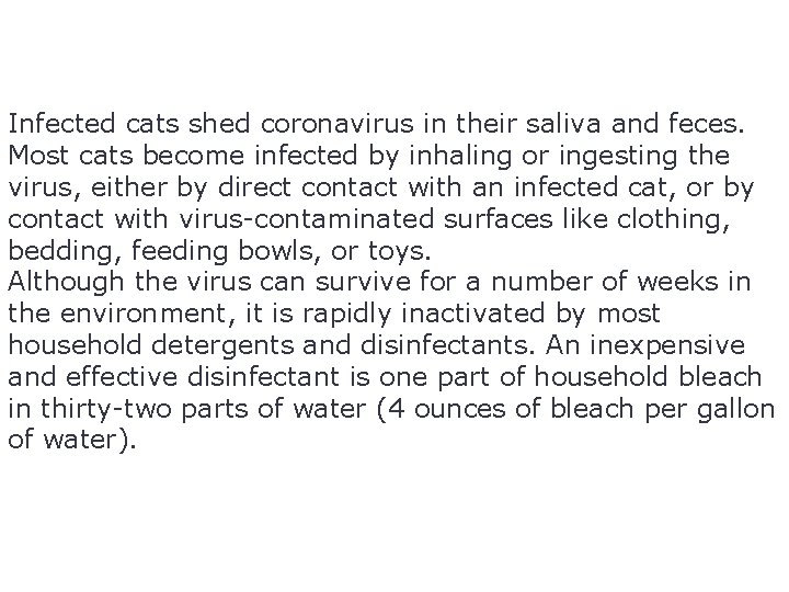 Infected cats shed coronavirus in their saliva and feces. Most cats become infected by