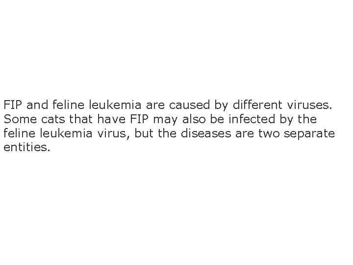 FIP and feline leukemia are caused by different viruses. Some cats that have FIP