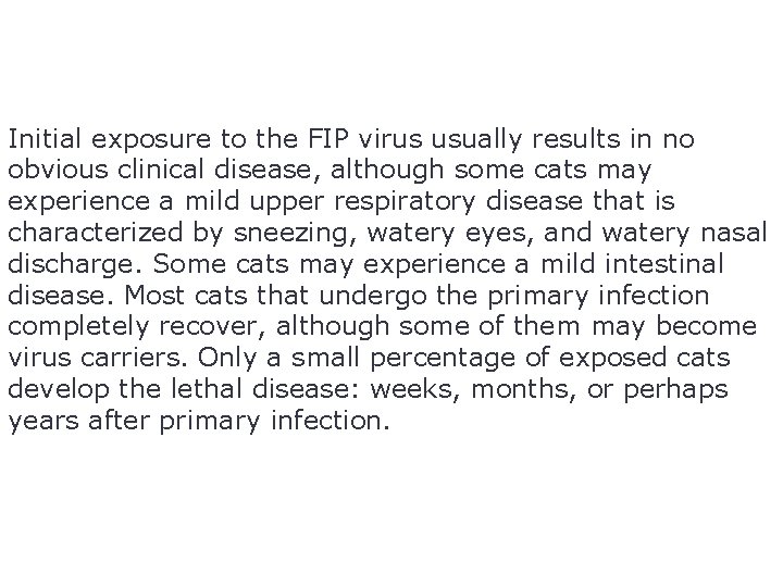 Initial exposure to the FIP virus usually results in no obvious clinical disease, although