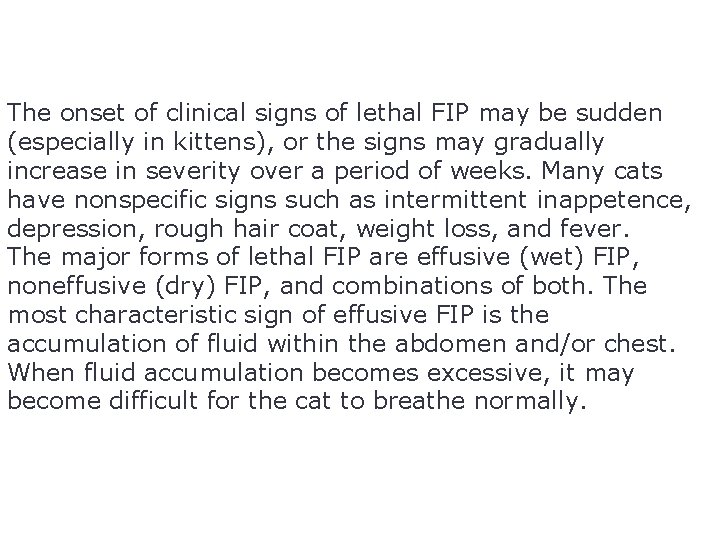The onset of clinical signs of lethal FIP may be sudden (especially in kittens),