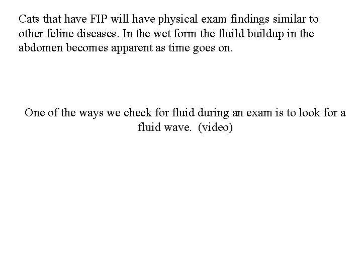 Cats that have FIP will have physical exam findings similar to other feline diseases.