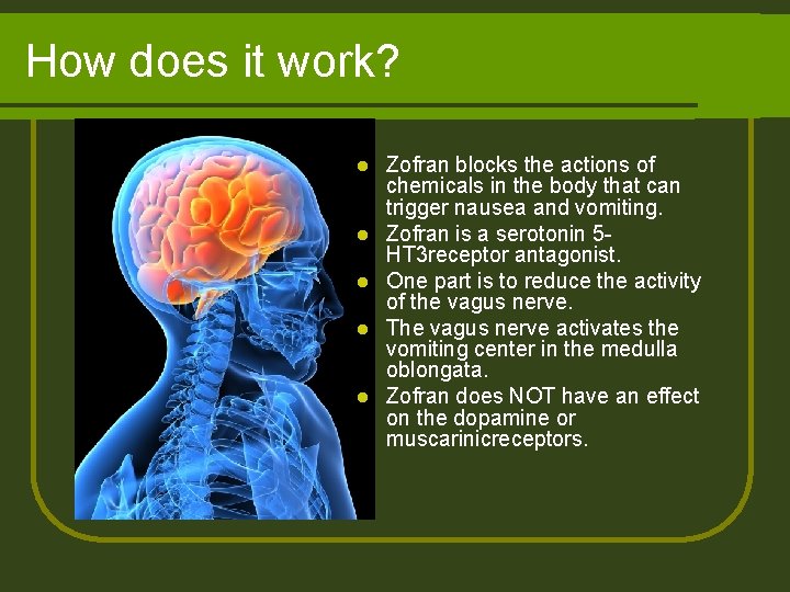 How does it work? l l l Zofran blocks the actions of chemicals in