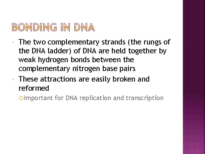  The two complementary strands (the rungs of the DNA ladder) of DNA are