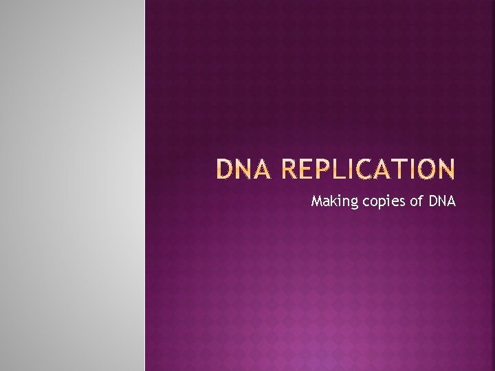 Making copies of DNA 